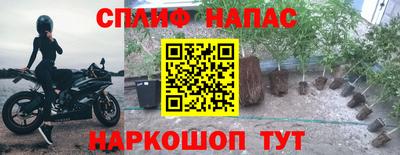 шишки Гусиноозёрск