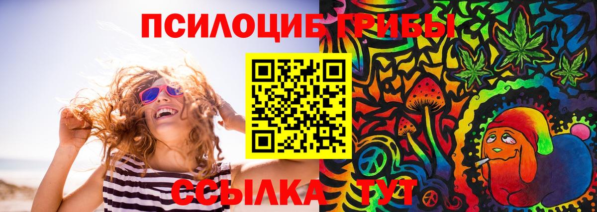 Балашов  Галлюциногенные грибы мухоморы  Вход с VPN 
